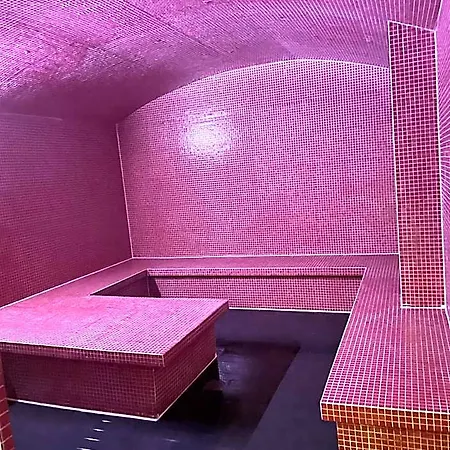 Oz'inn Hôtel&spa 5*